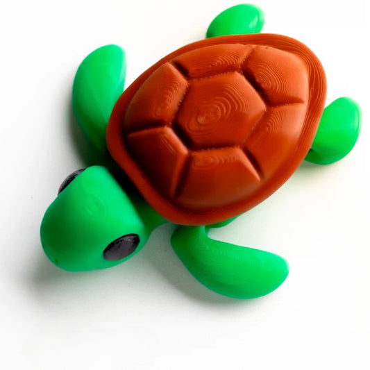 Baby Turtle