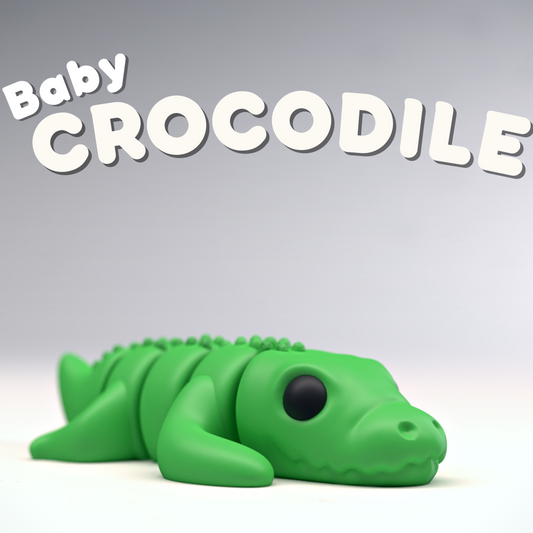Baby crocodile