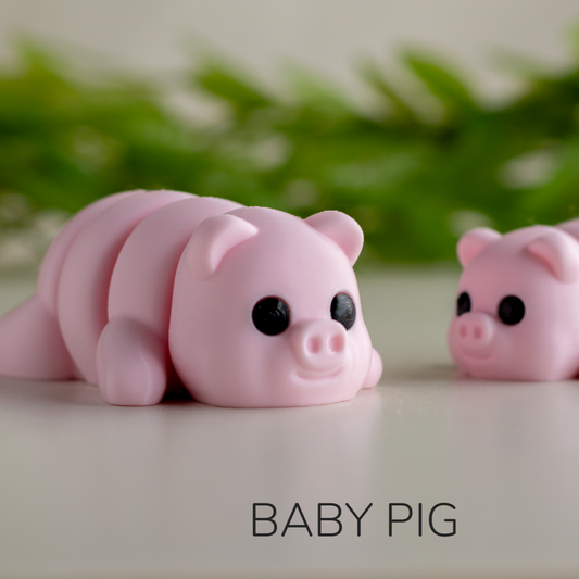 Baby Pig