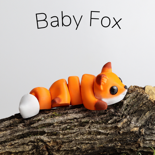 Baby Fox