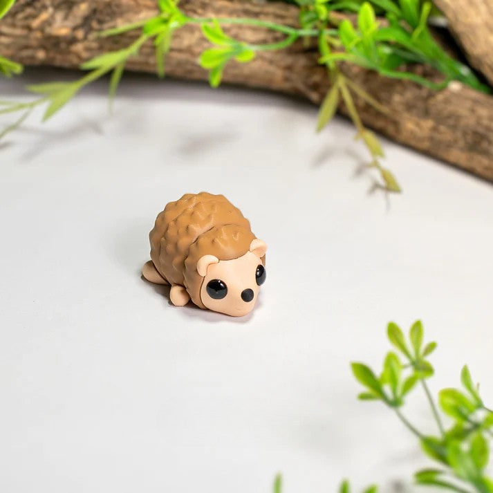 Baby Hedgehog