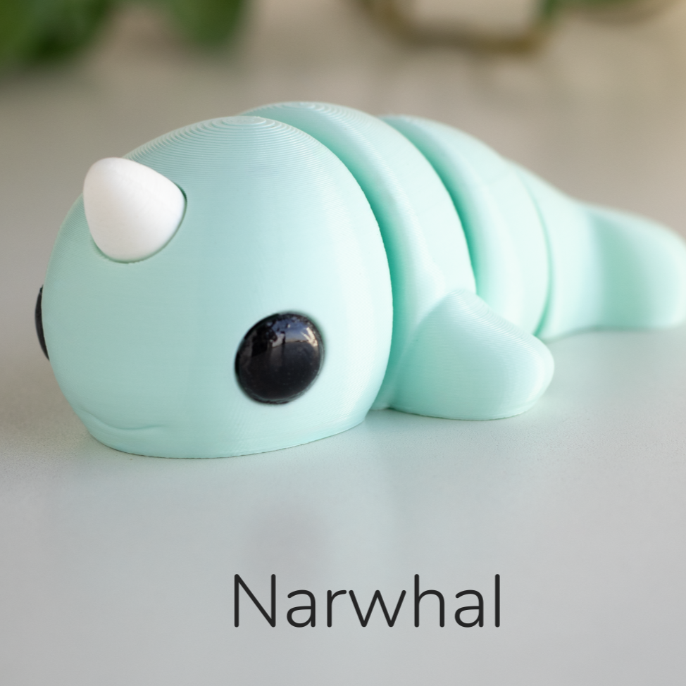 Baby Narwhal