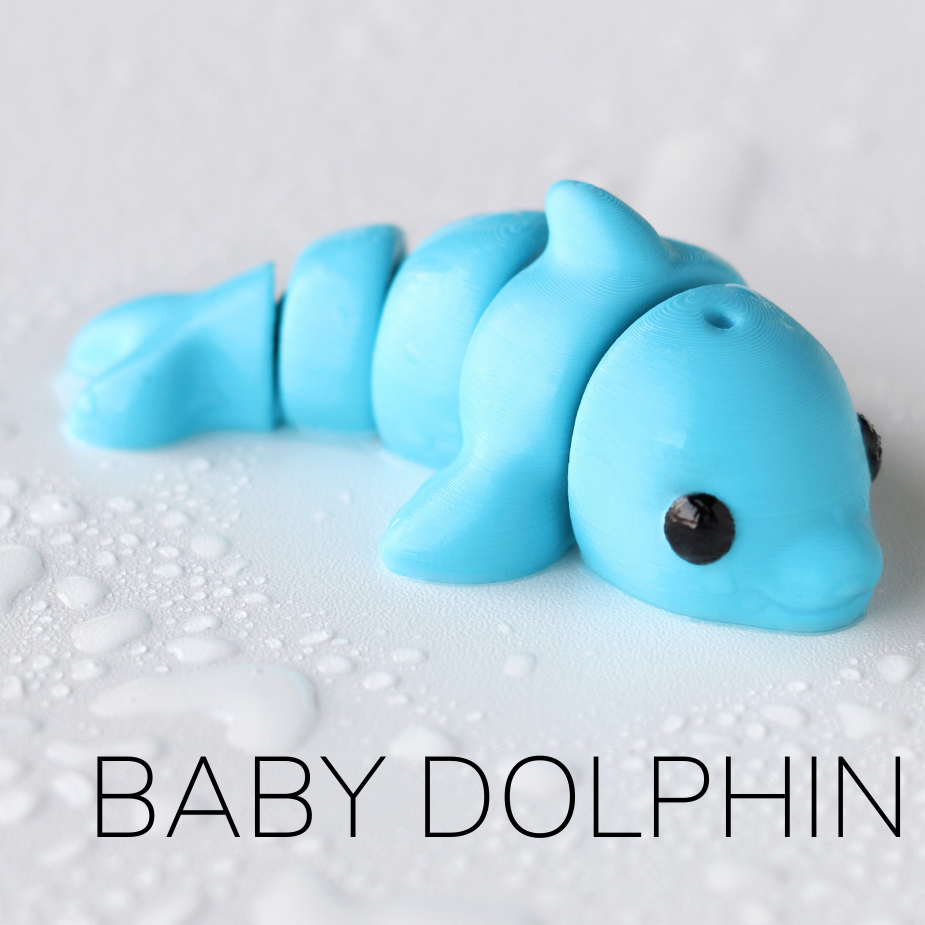 Baby Dolphin