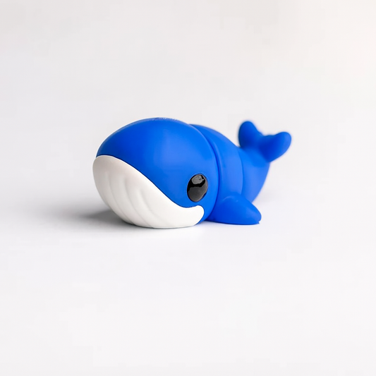 Baby Blue Whale