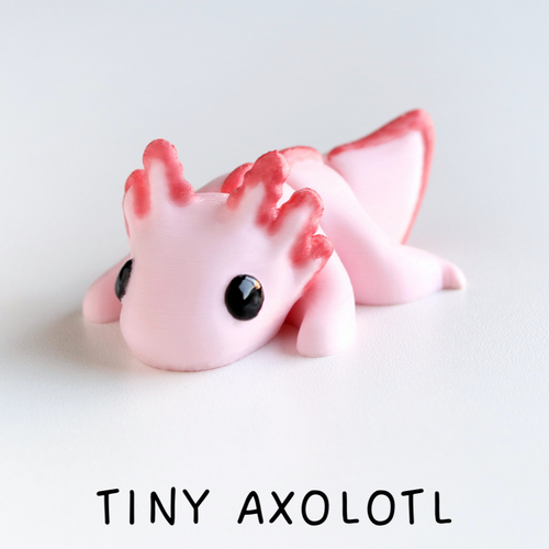 Axolotl