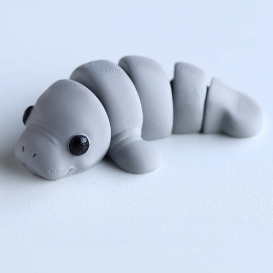 Baby Manatee