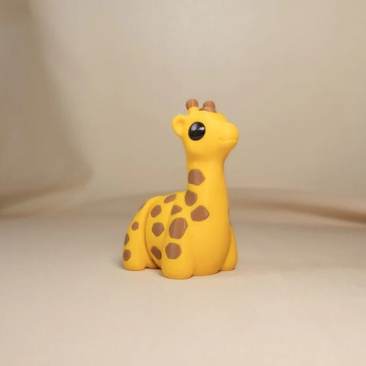 Baby Giraffe