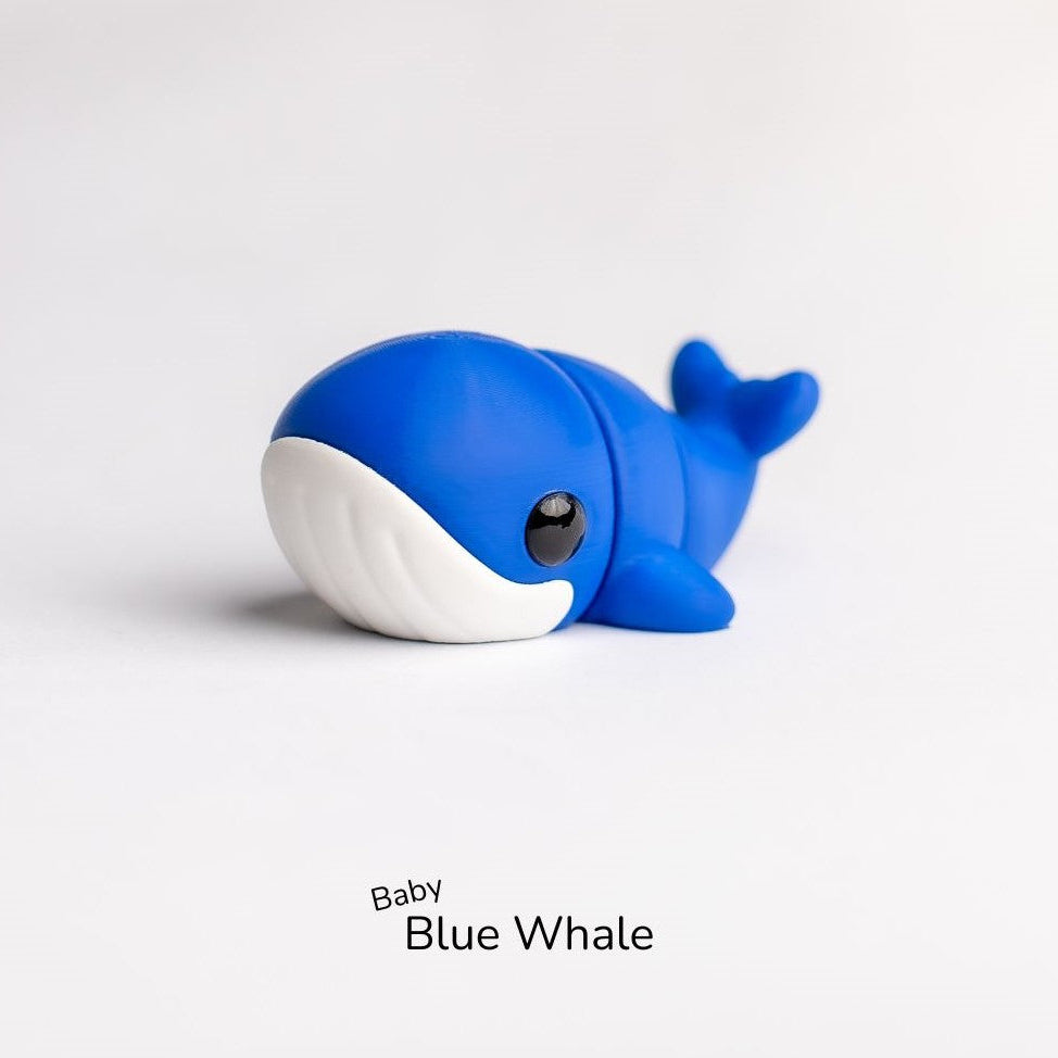 Baby Blue Whale