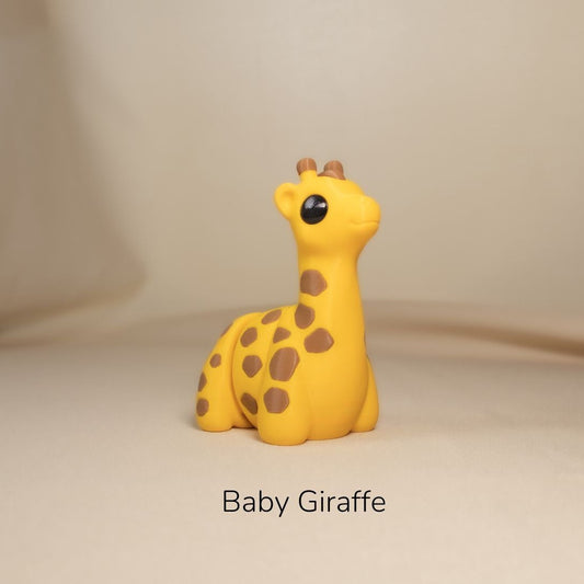 Baby Giraffe