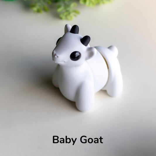 Baby Goat