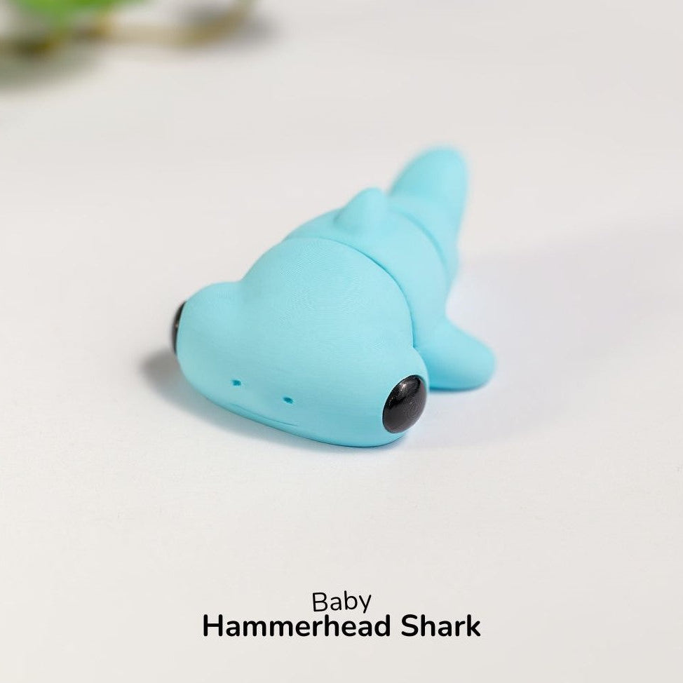Baby Hammerhead Shark