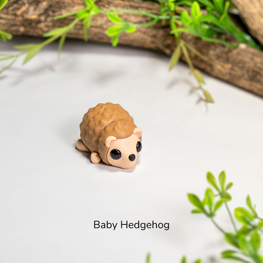 Baby Hedgehog