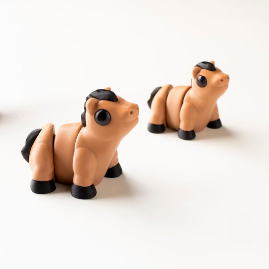 Baby horse