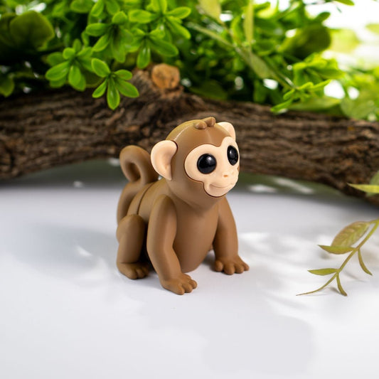 Baby Monkey