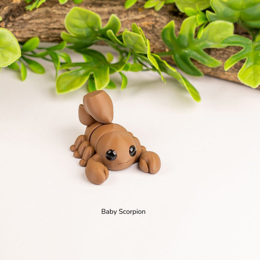 Baby Scorpion