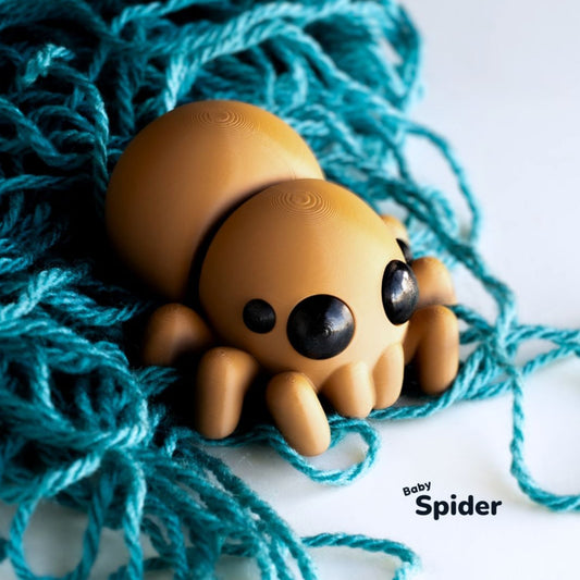 Baby spider