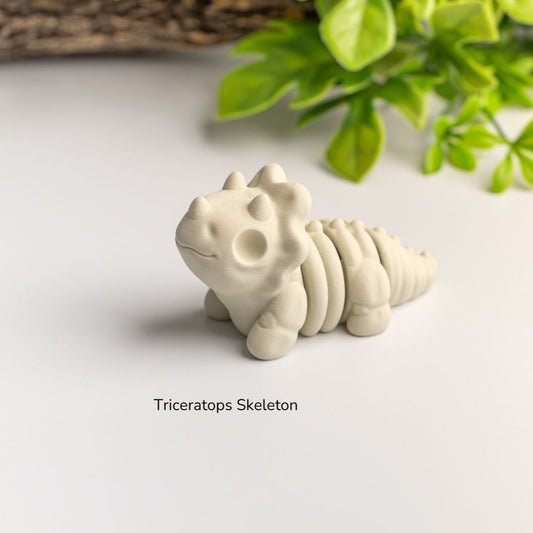 Baby triceratops skeleton