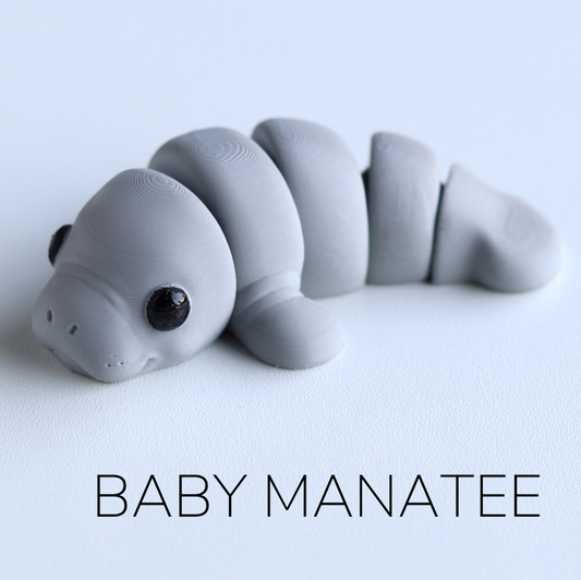 Baby Manatee