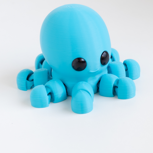 Baby Octopus