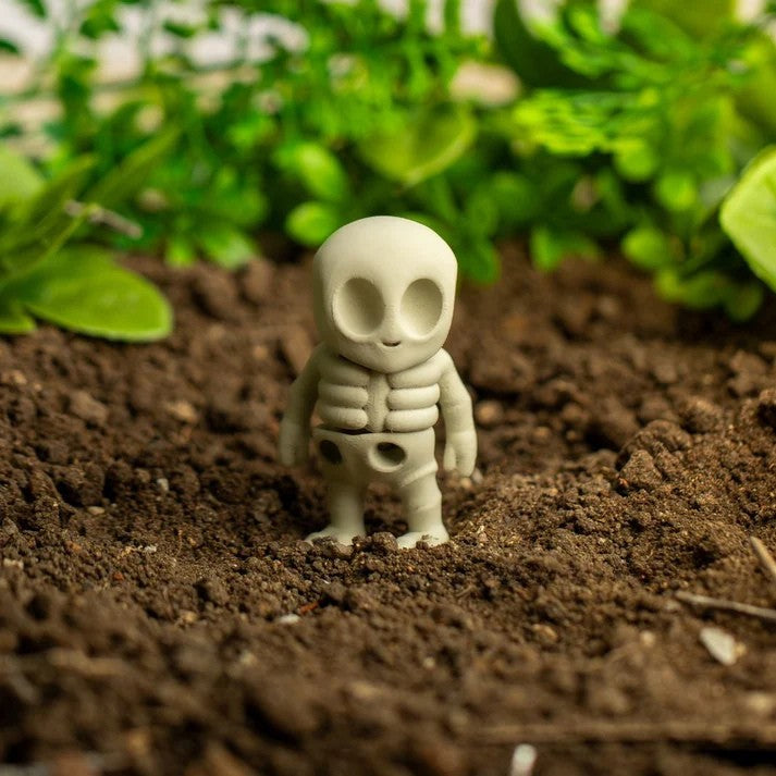 Tiny Alien skeleton