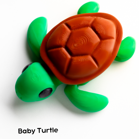 Baby Turtle